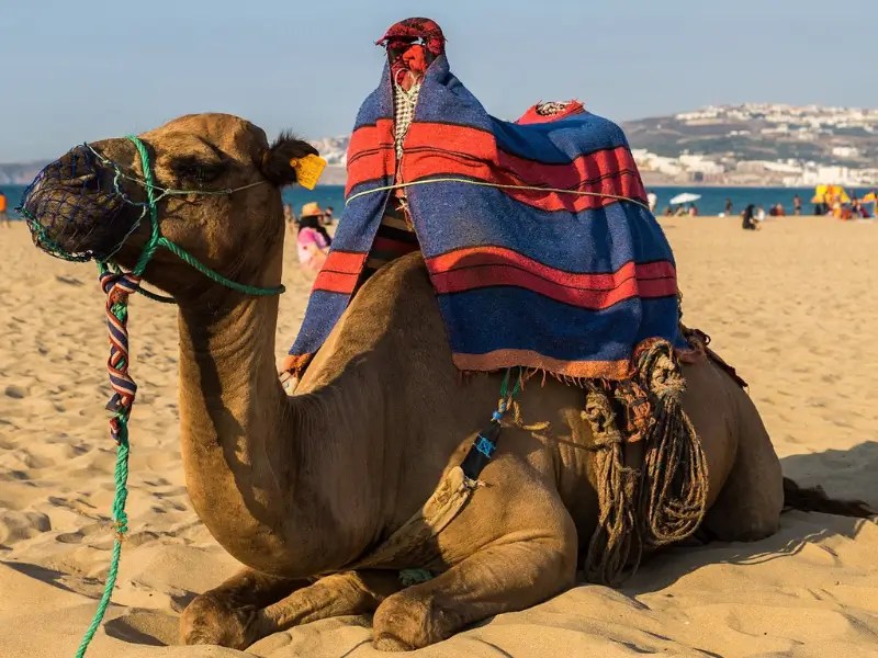 north-africa-cruises